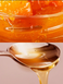 Лосьон для тела Victorias Secret Golden Apricot & Honey Body Lotion 236 мл 00-00027397 фото 2