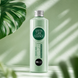 Шампунь для жирного волосся BBCos Green Care Essence 250 мл 00-00023291 фото 1
