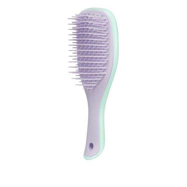 Щетка Tangle Teezer The Wet Detangler Mini Wisteria 00-00014961 фото