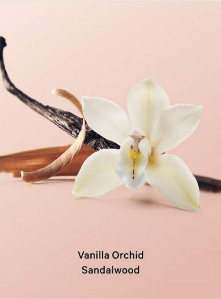 Лосьйон парфумований для тіла Victorias Secret Vanilla Orchid Sandalwood Body Lotion 236 мл 00-00027561 фото