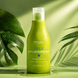 Шампунь для щоденного застосування з оливковою олією та лавром Pro.Color Daily Shampoo 250 мл 00-00021287 фото 1