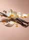 Спрей для тіла Victorias Secret Foasted Vanilla Fantasy Fragrance Mist 250 мл 00-00027404 фото 2