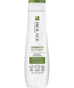 Шампунь для зміцнення пошкодженого волосся Matrix Biolage Strength Recovery 250 мл 00-00021861 фото