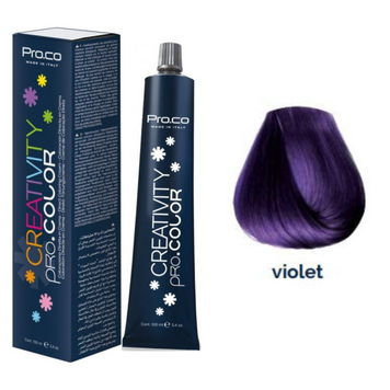 Краска для волос Pro.Color Creativity Violet 100 мл 00-00021270 фото