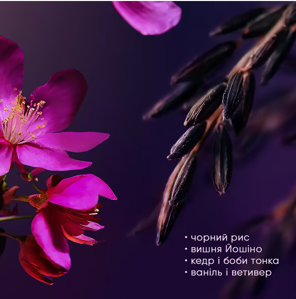 Набор подарочный Rituals The Ritual Of Yozakura A Love Affair 2-step routine 00-00027433 фото