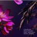 Набор подарочный Rituals The Ritual Of Yozakura A Love Affair 2-step routine 00-00027433 фото 2