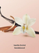 Спрей для тела Victorias Secret Vanilla Orchid Sandalwood Fragrance Mist 250 мл 00-00027568 фото 2