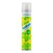 Шампунь сухий Batiste Dry Shampoo Coconut and Exotic Tropical 200 мл 00-00009104 фото 1